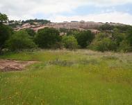 EnchantedRock002