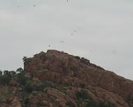 EnchantedRock027