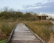 P_WalkingPath_SGoldberg Walkway to lookout shelter