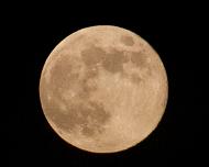 FullMoon_Img7284 Full Moon rising at Brazos Bend State Park Aug 13, 2011