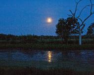 Moon rise and trees 2011 08 13 Full Moon rising at Brazos Bend State Park Aug 13, 2011