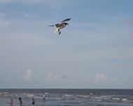 Galveston 20070630_011