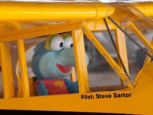 Steve Sartor RC Planes