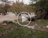 MVI_4312_Trim After a night of rain, the Frio roars to life, Oct 8, 2018