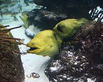 IMG_0058