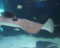 IMG_9956