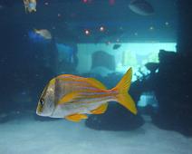IMG_9992