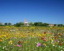 Church flowers