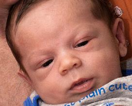 Daniel Hodges Born June 17, 2011
