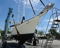 11DSC08267