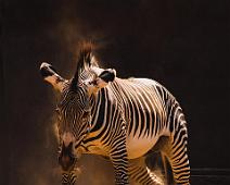 dan-cutler Photo by Dan Cutler on Unsplash