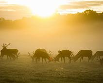 diana-parkhouse-2 Photo by Diana Parkhouse on Unsplash