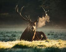diana-parkhouse Photo by Diana Parkhouse on Unsplash