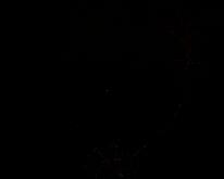 ISS flash1 336_0829 NASA 2008336