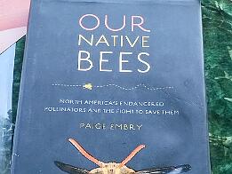 World Bee Day 2024