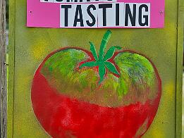 Tomato Tasting 2024